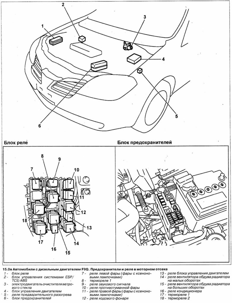 Nissan Primera P12 (2001-2007) - scatola fusibili e relè - Schema fusibili