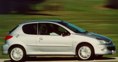 Peugeot 206 (1999-2002) - scatola fusibili e relè