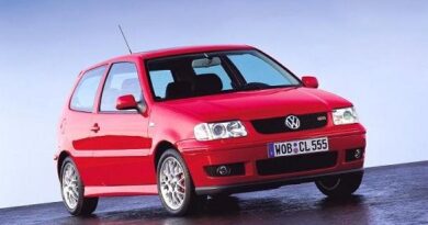 Volkswagen Polo 3 Classic (1994-2001) - scatola fusibili e relè