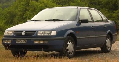 Volkswagen Passat B4 (1993-1997) - Scatola dei fusibili