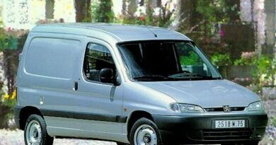 Peugeot Partner (2001) - Scatola dei fusibili